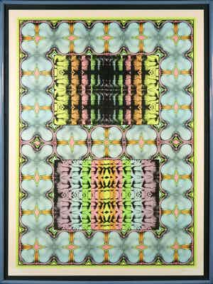 Shinkichi Tajiri - Offset-litho, My secret garden No. 1 - Ingelijst verkocht voor € 50!