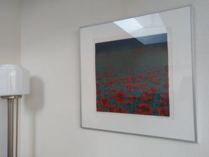 Hans Dolieslager - Klaprozen - kopen? Bied vanaf 120!