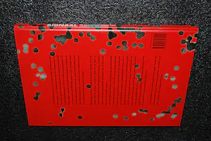 Louis van Gasteren - Gesigneerd boek '' Signaal '' 2012 kopen? Bied vanaf 20!