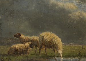Johannes Carolus Roodenburg - Lot van drie paneeltjes met dieren kopen? Bied vanaf 500!