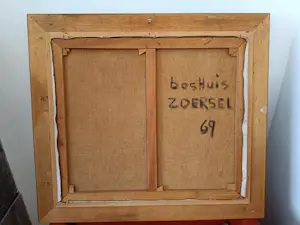 Hugo Van Peer - Boshuis Zoersel kopen? Bied vanaf 45!