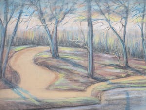 Romke faber - Bosgezicht bij vijver - Pastel kopen? Bied vanaf 70!