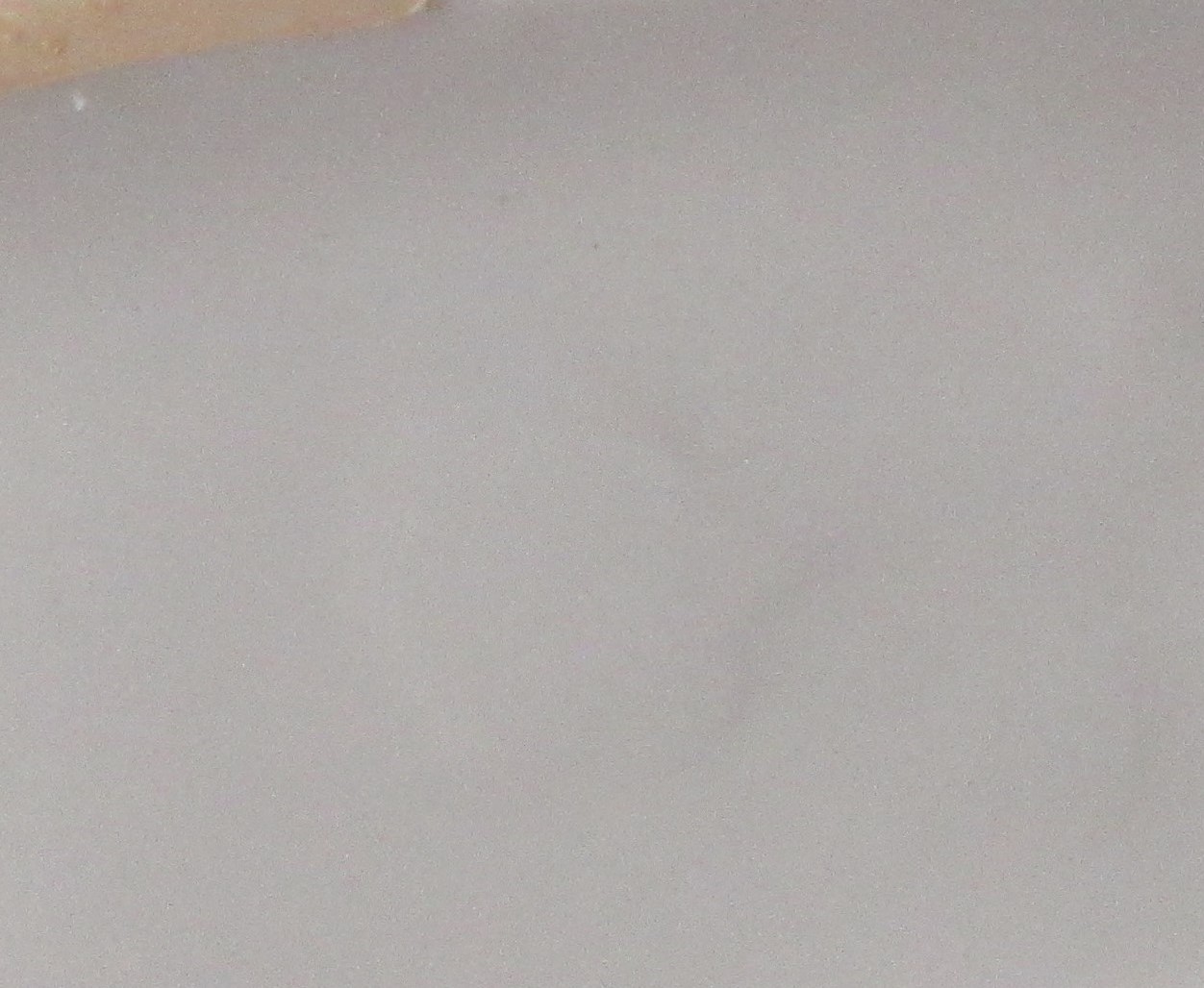 Niet of onleesbaar gesigneerd - Gestileerde platina porseleinen plastiek van een vogel kopen? Bied vanaf 1!