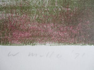 Wout Muller - Litho Wonderkind kopen? Bied vanaf 50!