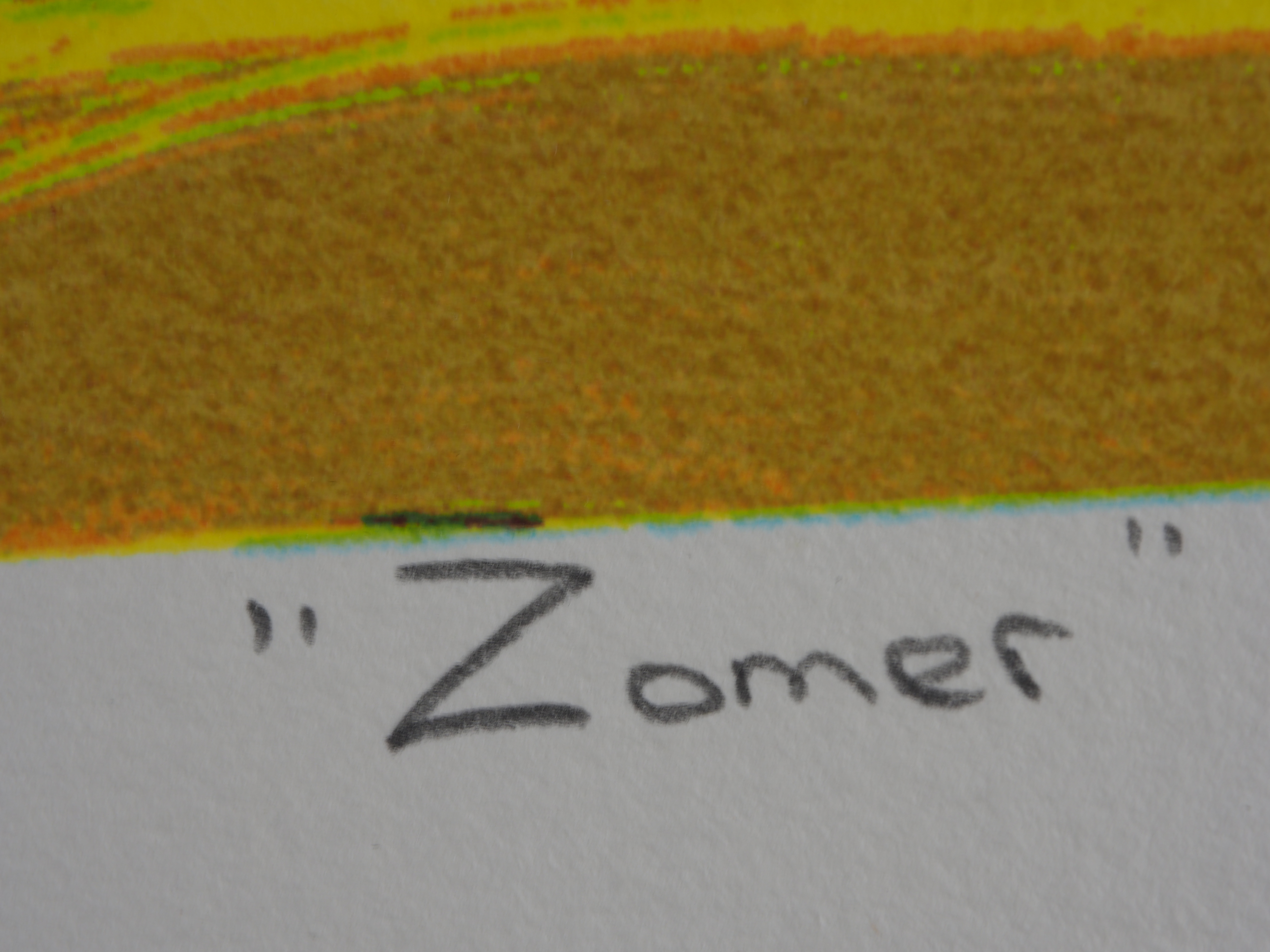 Jentsje Popma - Zomer kopen? Bied vanaf 60!