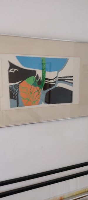 Edlef Romeny - Litho uit 1973 kopen? Bied vanaf 50!