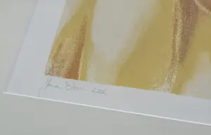 Jona Blom - Prodent Smile ! kopen? Bied vanaf 40!