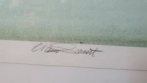 Ciano Siewert - Brienenoordbrug kopen? Bied vanaf 25!