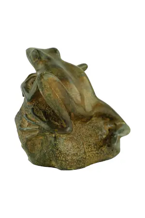 Pierre Chenet - Bronzen beeld van boomkikker op steen kopen? Bied vanaf 95!