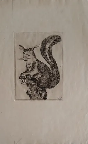 Jeanne Bieruma Oosting - Eekhoorn kopen? Bied vanaf 1!