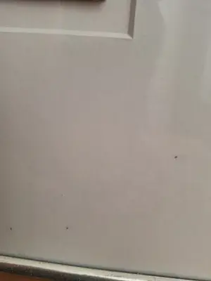 Hans Innemee - Origineel kopen? Bied vanaf 1000!