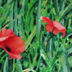 Willem Visser - Klaprozen 1 kopen? Bied vanaf 99!