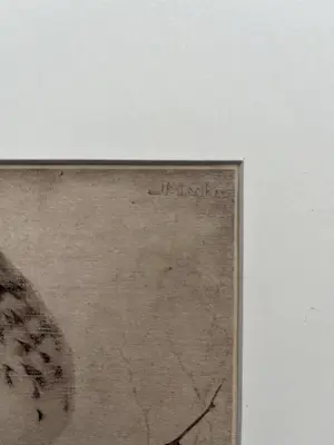 Jan Mankes - Originele Heliogravure Lijster op Tak 1923 kopen? Bied vanaf 185!
