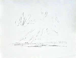 Willem den Ouden - Uiterwaarden vanaf de dijk. verkocht voor € 75!