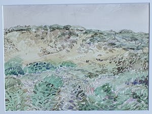 Arie Wols - Duinen bij Haamstede kopen? Bied vanaf 80!