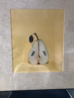 Buy Frans van Lent - Le violon de Man Ray? Bid from 40!