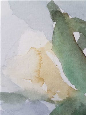 Louis van der Beesen - Vaas met Rozen kopen? Bied vanaf 75!