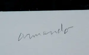 Armando - Giclee: Waldweg I kaufen? Bieten Sie von 169!