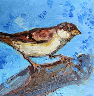 Tanja Koelemij - Blue sparrow (small) verkocht voor € 45!