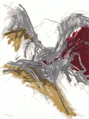 Ineke van Koningsbruggen - Vogel kopen? Bied vanaf 1!