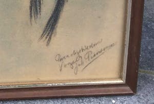 Johanna Pieneman - 3473, Paradijsweduwevink kopen? Bied vanaf 300!