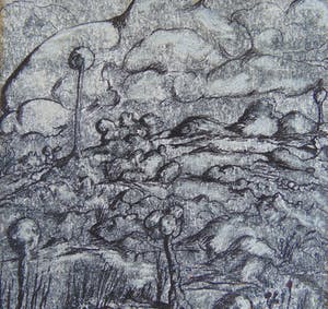 Murk van Stralen - Na 50 megaton kopen? Bied vanaf 60!