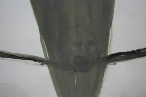 Ronald Noorman - Pastel/Gouache, ingelijst - 1999 kopen? Bied vanaf 299!