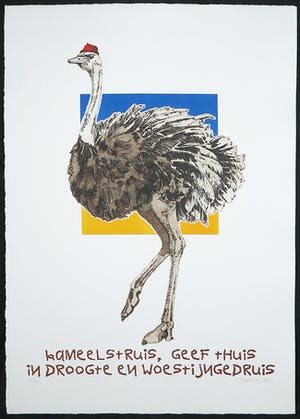 Els Maasson - Ets, Kameelstruis kopen? Bied vanaf 1!