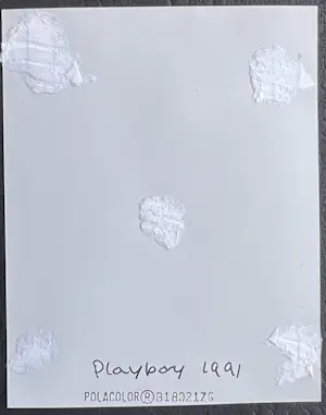 Erwin Olaf - Polaroid voor Playboy serie Monique Sluyter kopen? Bied vanaf 150!