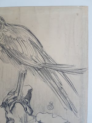 Jan Schonk - Kuikendief kopen? Bied vanaf 100!