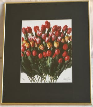 Paul Huf - Foto , Flowers : Gemengde Tulpen – gesigneerd & ingelijst - 1984 kopen? Bied vanaf 1!