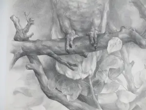 Aart van Dobbenburgh - Kakatoe - Litho kopen? Bied vanaf 50!