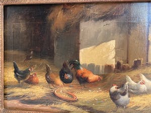 Jef Van Leemputten - Kippen in de staal kopen? Bied vanaf 400!