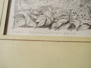 Cees Schellenberg - Tekening - Mariapolder Dordrecht kopen? Bied vanaf 60!