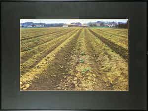 Paul Huf - Foto, Het land - Ingelijst verkocht voor € 1!