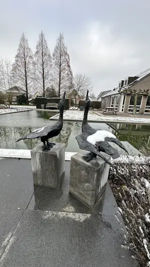 Jonneke Kodde - Contact kopen? Bied vanaf 9500!