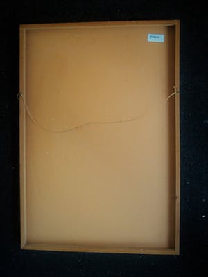 Jack de Rijk - Vrouwelijk naakt kopen? Bied vanaf 50!