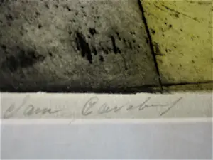 Sam Parabirsingh - Grote handgekleurde Ets "Vlinder"- zeer kleine oplage (5) Ingelijst kopen? Bied vanaf 49!