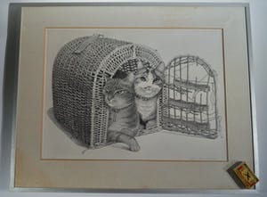 Ella van Schaik - twee poezen in een mandje kopen? Bied vanaf 10!