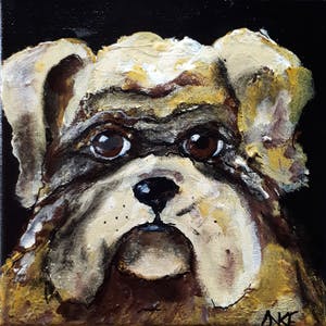 Anke Peddemors - Bulletje kopen? Bied vanaf 15!