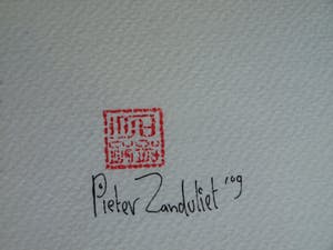 Pieter Zandvliet - Aquarel / Tekening, “Olifantman” – gesigneerd en ingelijst – 2009 kopen? Bied vanaf 35!
