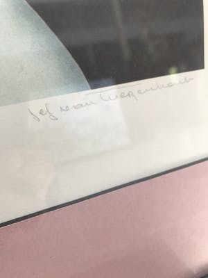 Jef van Tuerenhout - Naakte vrouw met bloemen kopen? Bied vanaf 200!