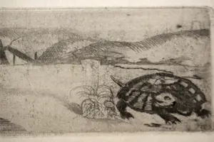 Jeanne Bieruma Oosting - Ets - De Haas en de Schildpad kopen? Bied vanaf 50!