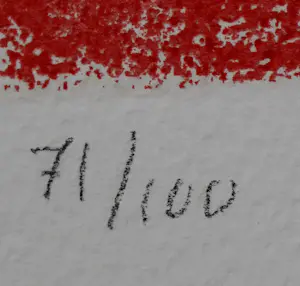 Corneille - Zeefdruk: Een blik op de vogel - 1998 kopen? Bied vanaf 175!