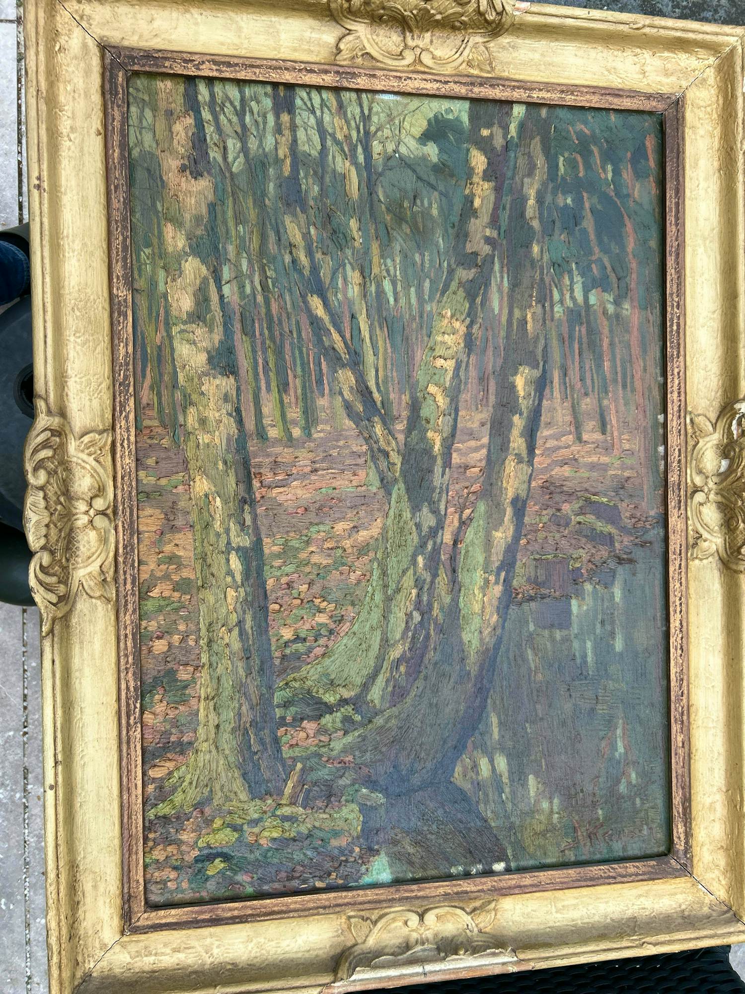 Onbekend - boom in bos kopen? Bied vanaf 50!