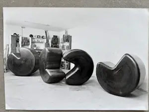 Krekel van Spronsen - Cirkels Environment kopen? Bied vanaf 1000!