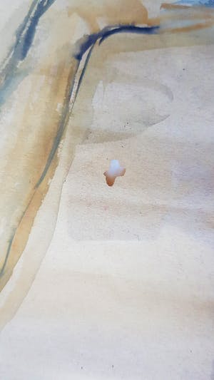 Gerard Schaperkotter - Naakt kopen? Bied vanaf 34!