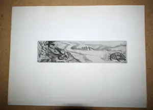 Jeanne Bieruma Oosting - Ets - De Haas en de Schildpad kopen? Bied vanaf 50!