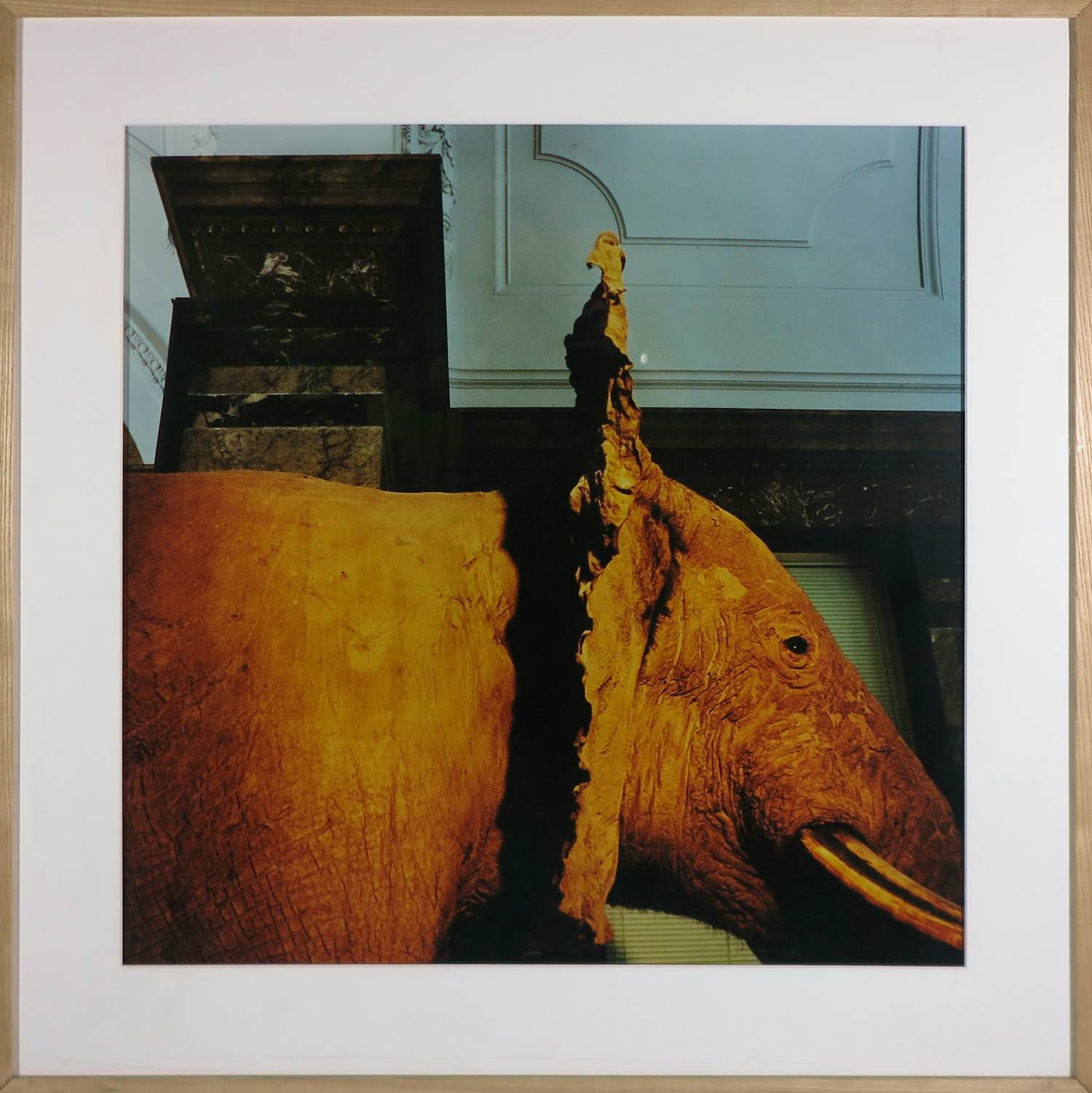 Paul den Hollander - Fotografie, Z.T - Ingelijst verkocht voor € 50!