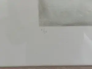 Ardi Brouwer - Binnenplaats kopen? Bied vanaf 40!